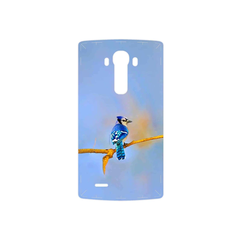 برچسب پوششی ماهوت مدل Cyanocitta cristata مناسب برای گوشی موبایل ال جی G3