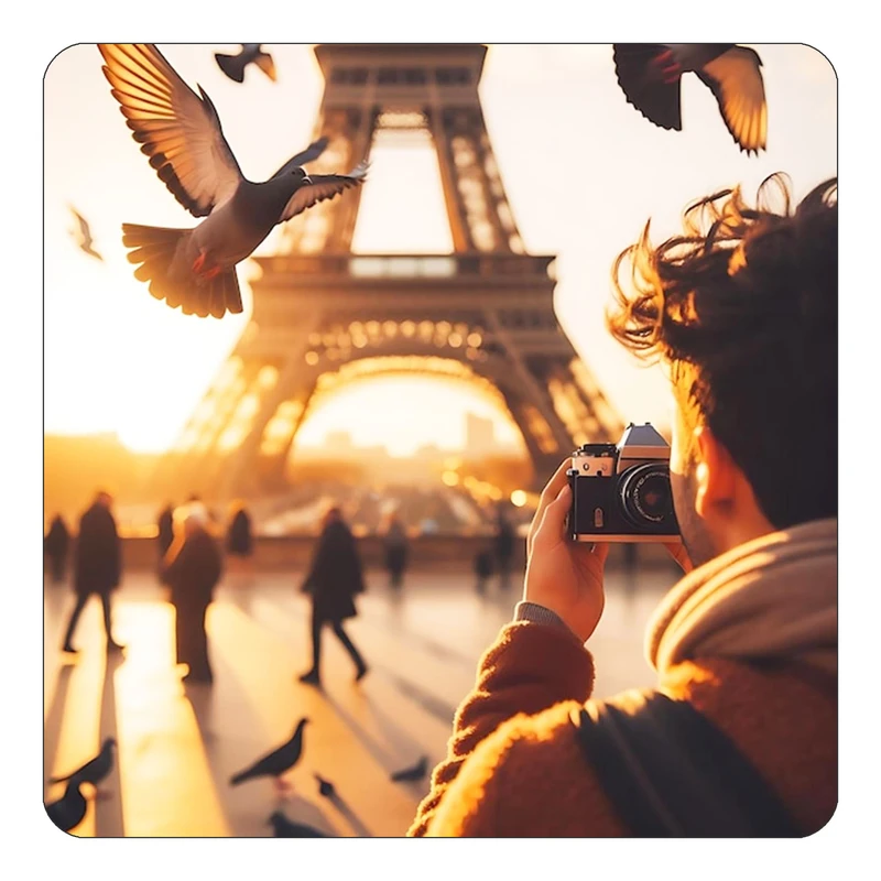 مگنت کاکتی طرح پاریس Paris مدل mp57729