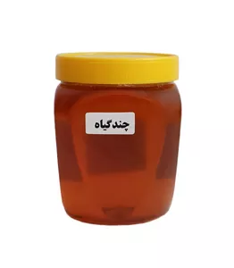 عسل چند گیاه فدک -1 کیلوگرم