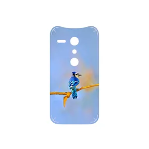 MAHOOT Cyanocitta cristata Cover Sticker for Motorola Moto G