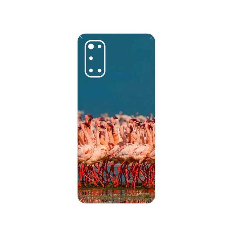 برچسب پوششی ماهوت مدل Flamingo مناسب برای گوشی موبایل ریلمی 7 Pro