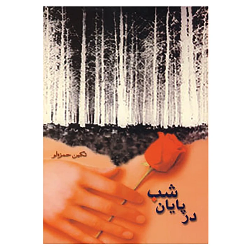 کتاب در پایان شب اثر تکین حمزه لو