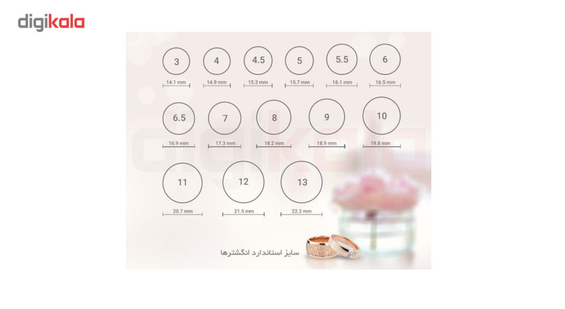 حلقه و پشت حلقه نقره جیکس ویمن مدل RSV002