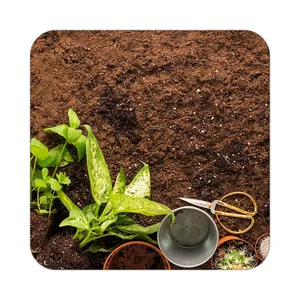 زیر لیوانی کاکتی طرح گل مدل mp17388