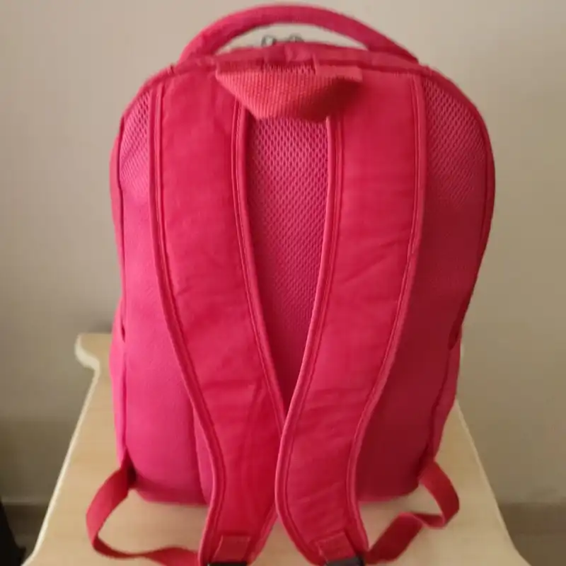 کوله پشتی یالان دیسی مدل 1825