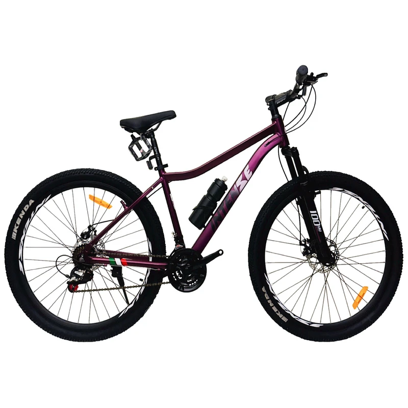 دوچرخه کوهستان اینتنز مدل CD400 کد 46 سایز طوقه 29 اینچ