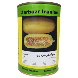 بذر کدو آجیلی مرمری زر بذر ایرانیان مدل 67-GH100