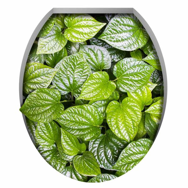 استیکر سه بعدی ژیوار طرح گیاهان سبز استیکر سه بعدی ژیوار طرح گیاهان سبز