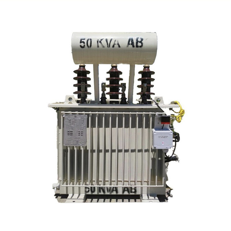 دزدگیر  ترانس برق مدل DTMS SF