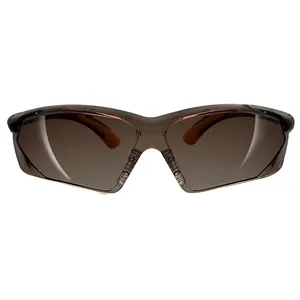 Parkson ABZ SS2793GT Safety Glasses
