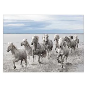 Wensoni Horses At The Sea Chassis Size 50 x 70 Cm