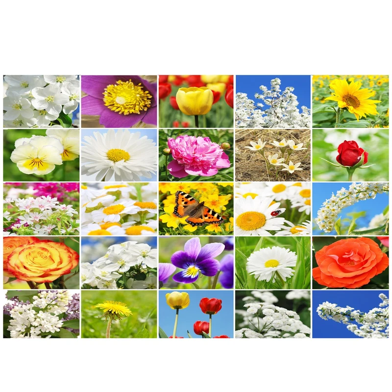 تابلو شاسی آکو طرح Flower38 سایز 20x28 سانتی متر