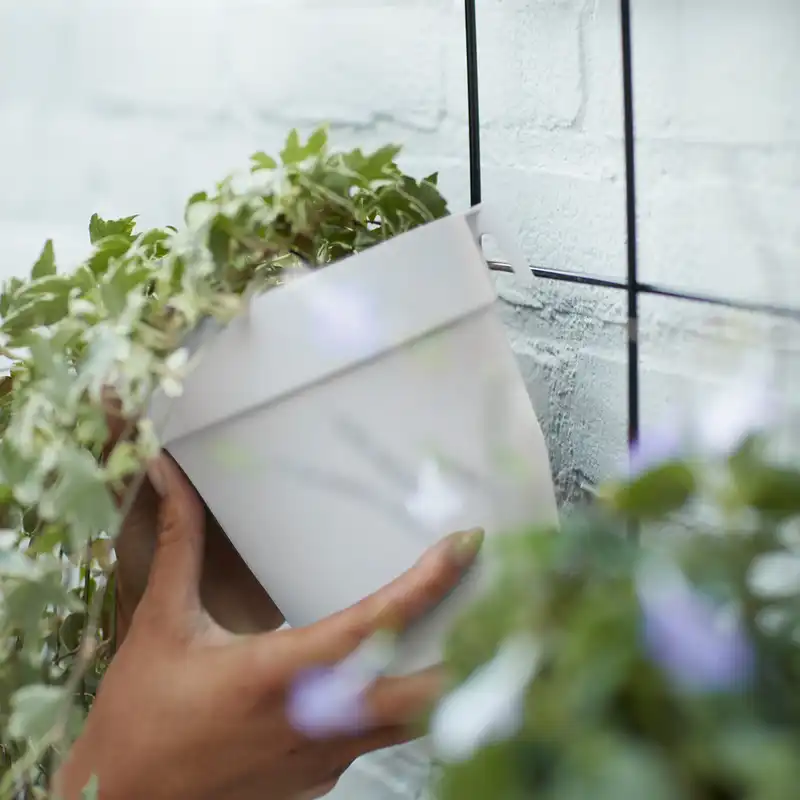 استند گلدان مدل دیوار سبز مجموعه 2 عددی به همراه گلدان