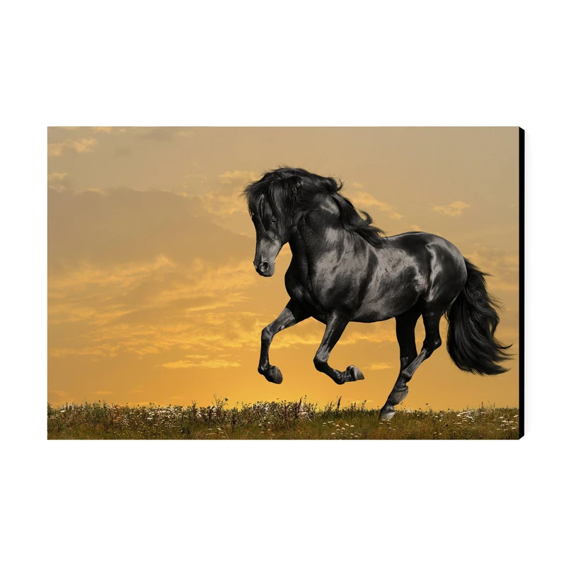 تابلو شاسی عرش مدل فانتزی اسب کد As3074