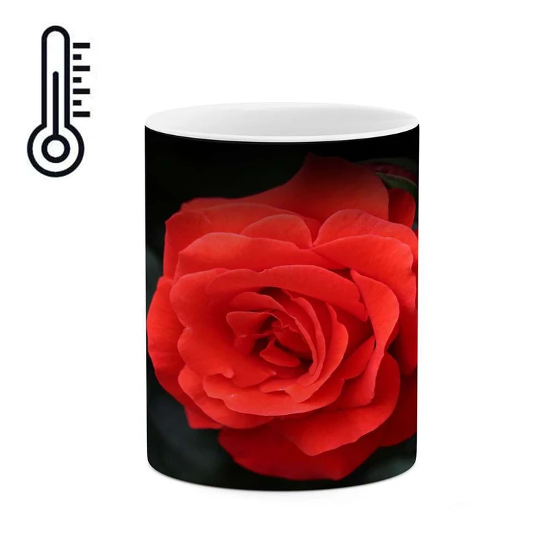 ماگ حرارتی کاکتی مدل گل کد mgh16217