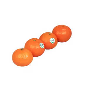 نارنگی پچ اکوبیو 1 کیلو گرم