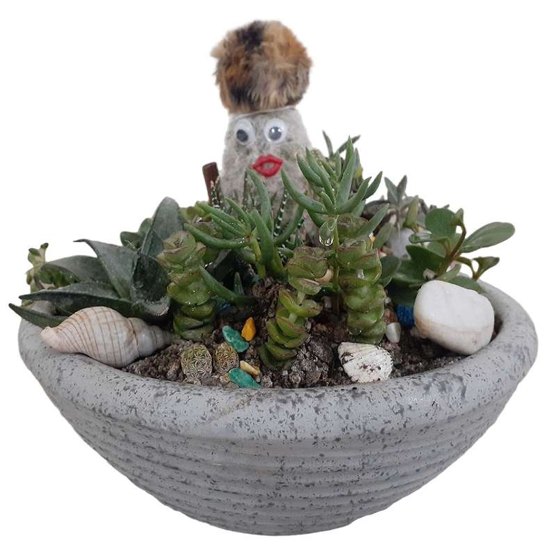 گل طبیعی کاکتوس مدل عروسکی گل طبیعی کاکتوس مدل عروسکی