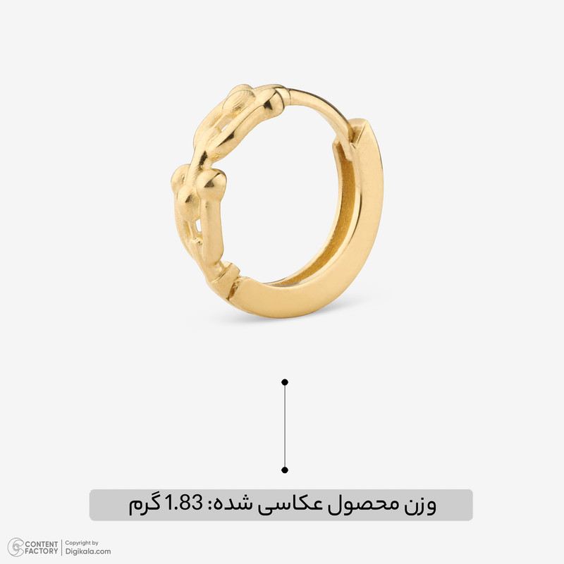 گوشواره حلقه‌ای طلا 18 عیار زنانه گلدم مدل E125027 تیفانی - 6
