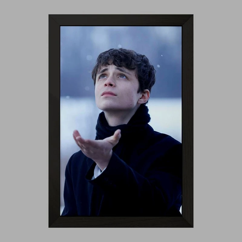 تابلو خندالو مدل گیلبرت سریال آنشرلی کد 28988