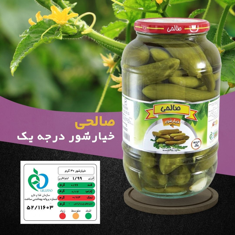 خیارشور پاستوریزه صالحی - 1300 گرم مجموعه 6 عددی