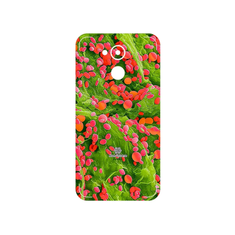 برچسب پوششی ماهوت مدل Atom Universe 3 مناسب برای گوشی موبایل آنر 5C Pro