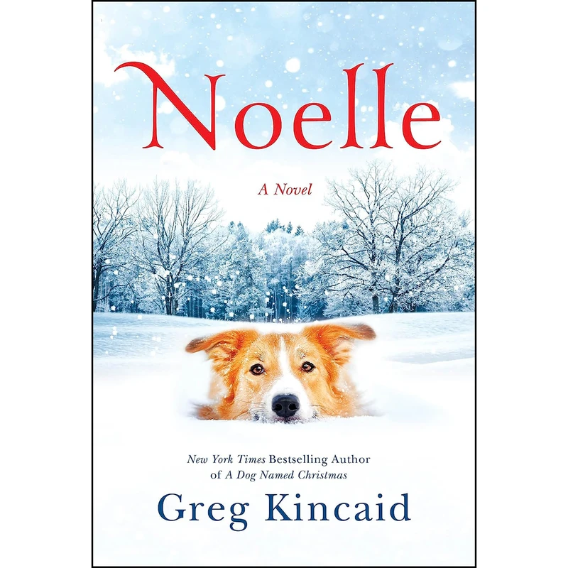 کتاب Noelle اثر Greg Kincaid انتشارات Convergent Books