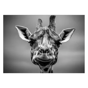 Wensoni Frail Giraffe Chassis Size 50 x 70 Cm