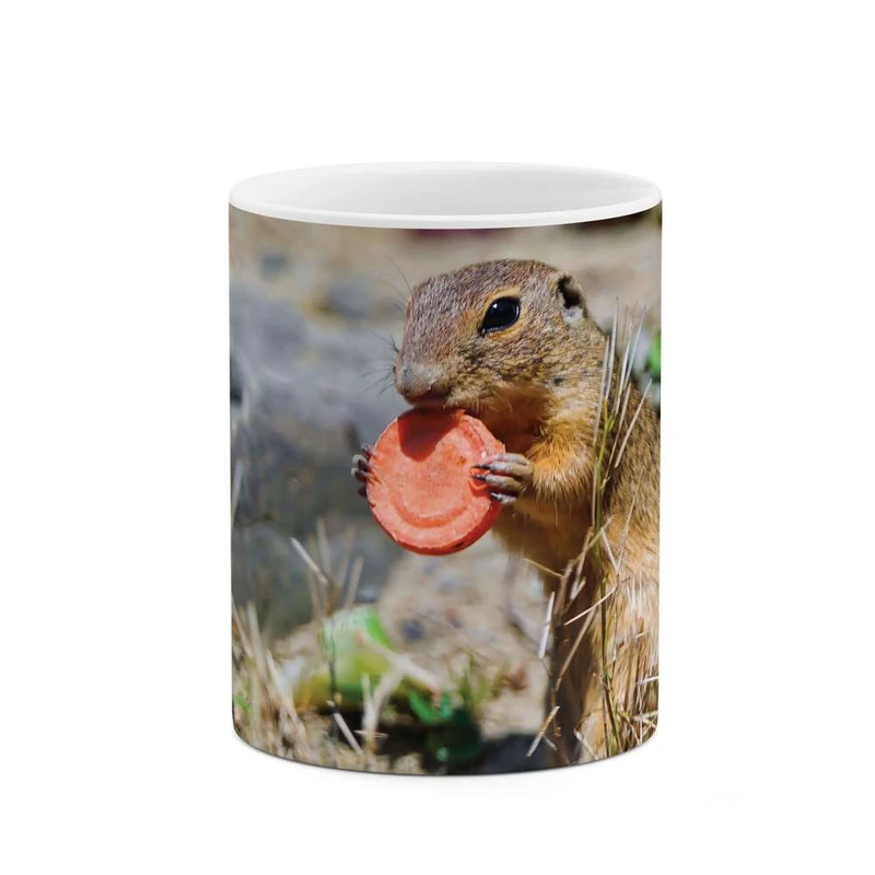 ماگ کاکتی مدل سنجاب کد mgh10099