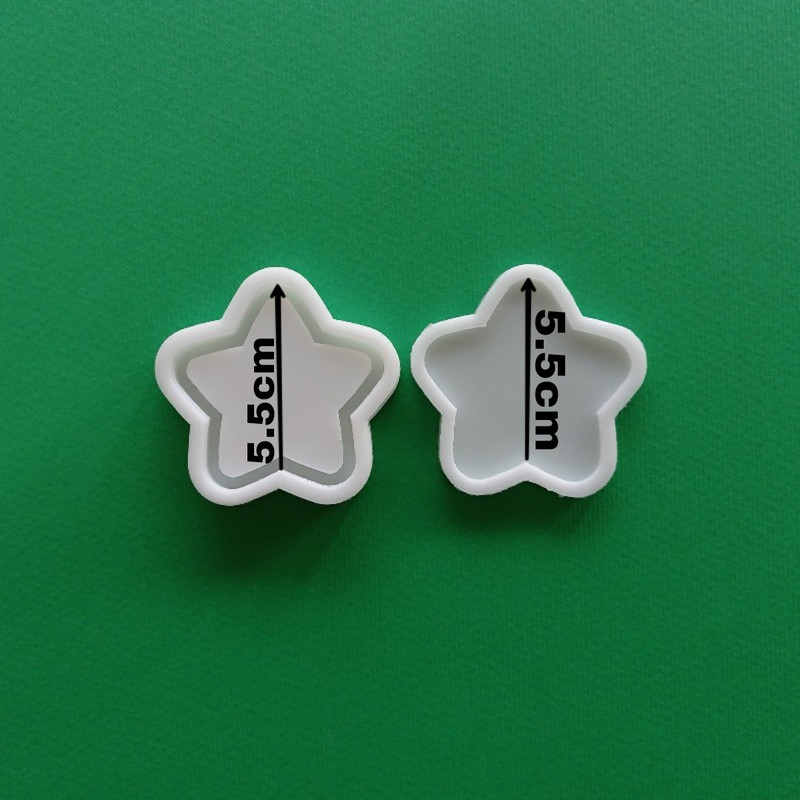 قالب رزین مدل جاکلیدی آکواریومی طرح ستاره بسته 2 عددی