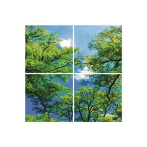 تایل سقفی آسمان مجازی مدل E33 سایز 60*60 سانتی متر مجموعه 4 عددی