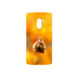 MAHOOT Squirrel Cover Sticker for Lenovo A7010