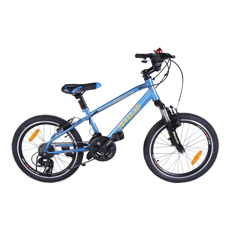 دوچرخه کودک کوهستان آساک مدل آرسکا کد B-208-5202100 سایز طوقه 20 اینچ