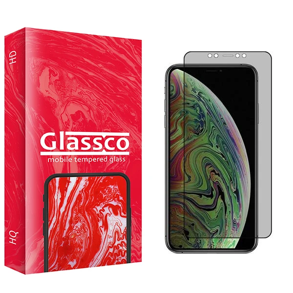 محافظ صفحه نمایش حریم شخصی گلس کو مدل Co2 مناسب برای گوشی موبایل اپل iPhone 11 Pro Max