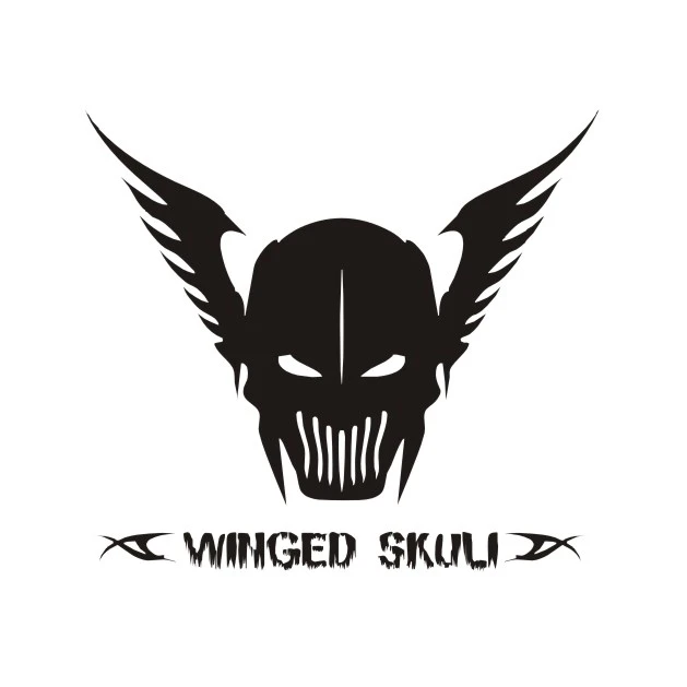 برچسب بدنه خودرو لیزارد مدل اسپورت طرح winged skuli کد LZD-824