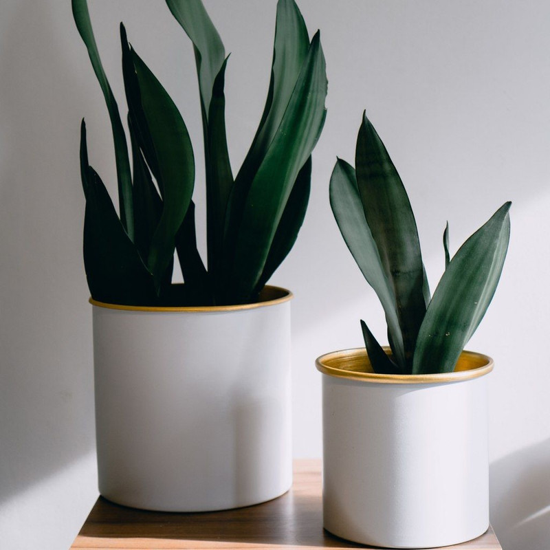 گلدان مدل استوانه فلزی مجموعه 2 عددی گلدان مدل استوانه فلزی مجموعه 2 عددی