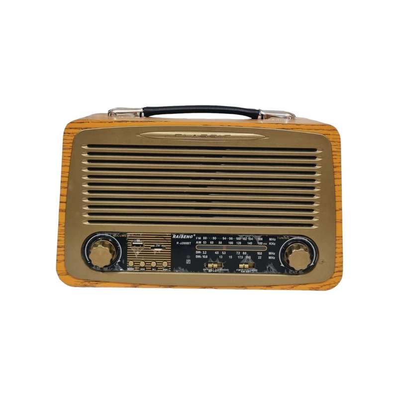رادیو طرح چوبی مدل کلاسیک RAISENG رادیو طرح چوبی مدل کلاسیک RAISENG