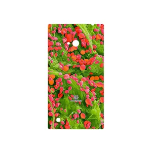 MAHOOT Atom Universe 3 Cover Sticker for Nokia Lumia 720