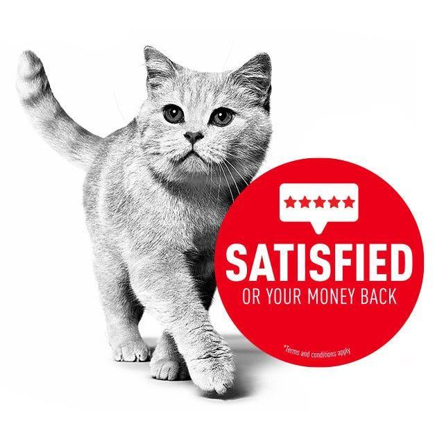 غذای خشک گربه رویال کنین مدل هایپو آلرژیک وزن 2.5 کیلوگرم