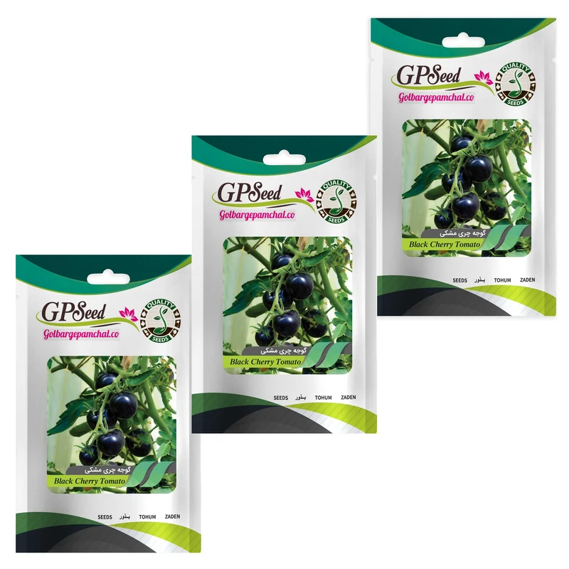 بذر گوجه چری مشکی گلبرگ پامچال کد GPF-202 مجموعه 3 عددی 