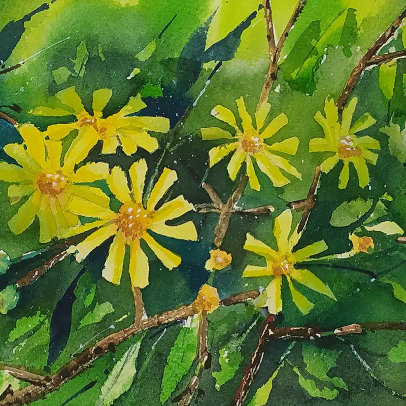 نقاشی آبرنگ طرح گل های بهاری کد 15