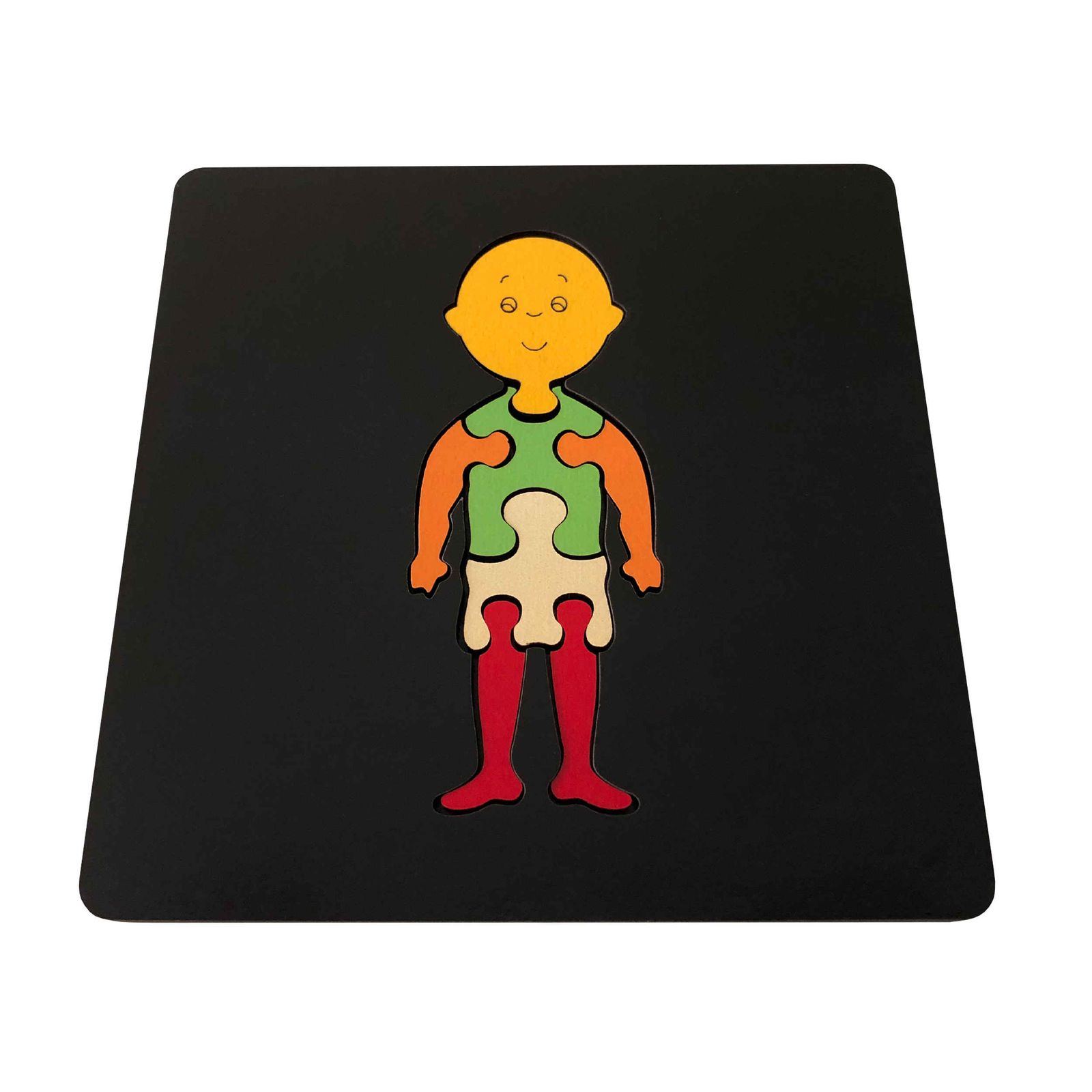 بازی آموزشی مستر راد مدل بدن انسان کد کازیوه 021 -  - 1