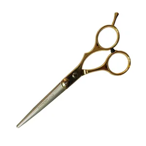 قیچی آرایشگاهی مدل Economy style