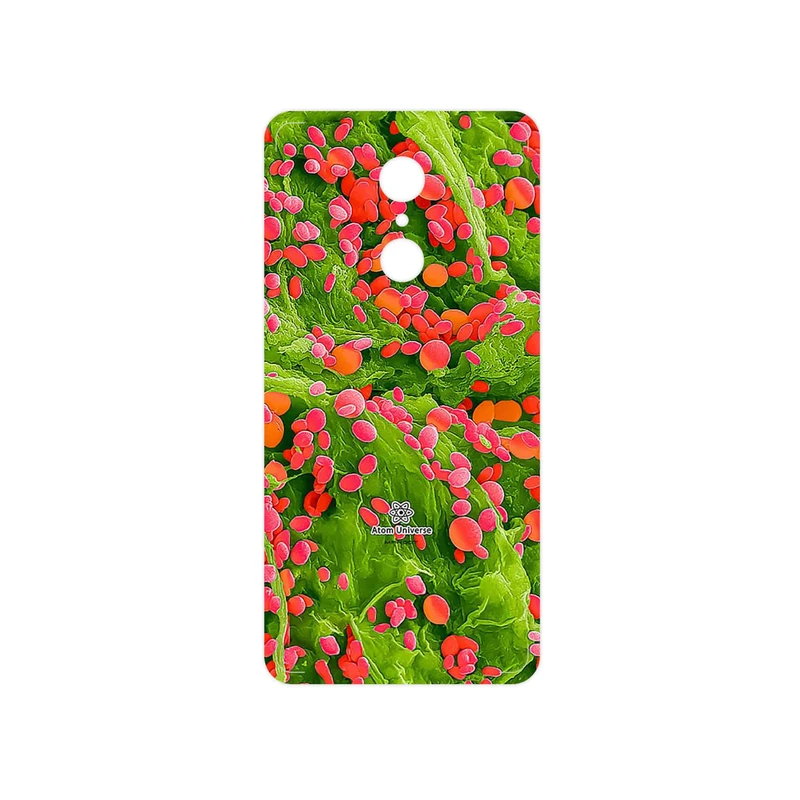 برچسب پوششی ماهوت مدل Atom Universe 3 مناسب برای گوشی موبایل شیائومی REDMI 5