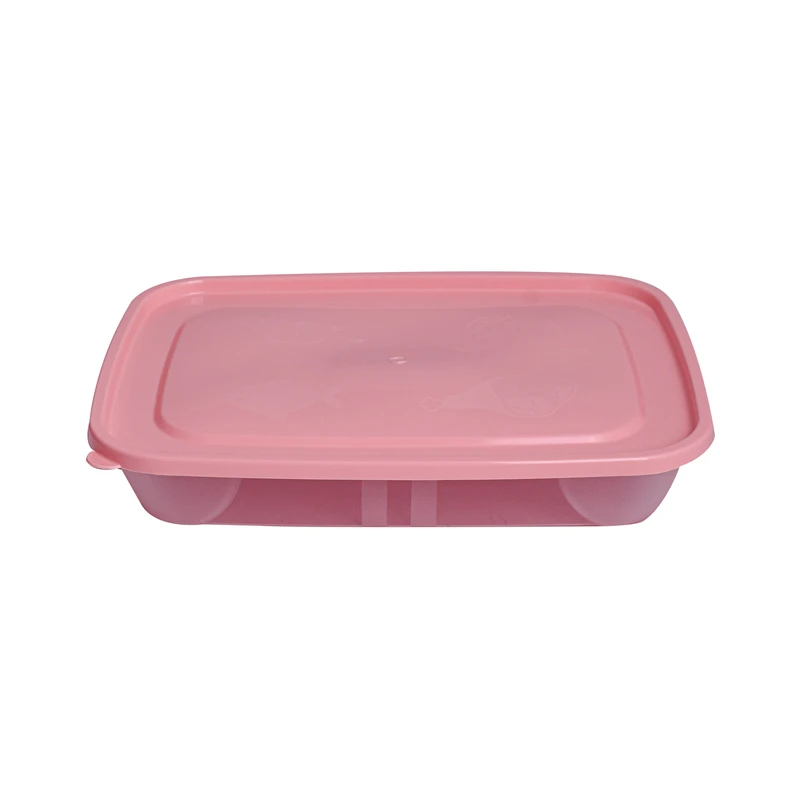 ظرف نگهدارنده اشکان مدل شاندیز کد 2