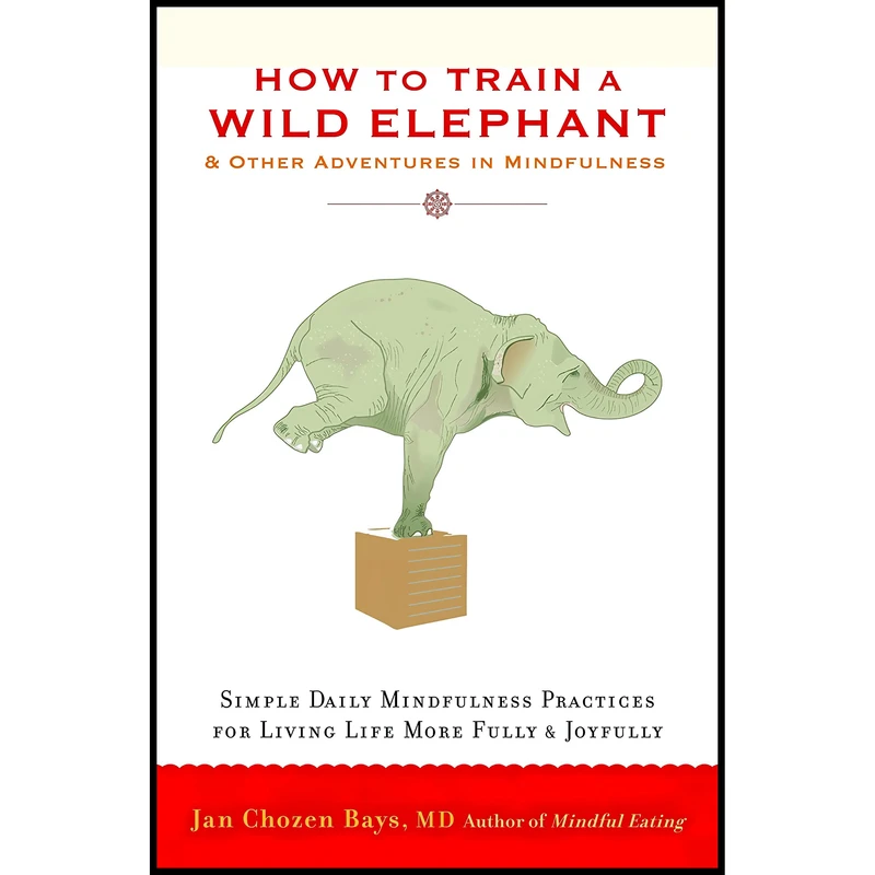 کتاب How to Train a Wild Elephant اثر Jan Chozen Bays انتشارات Shambhala