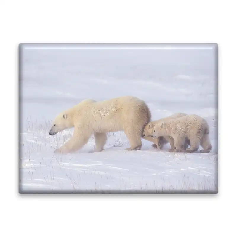 کاشی اطلس آبی طرح برف و خرس قطبی مدل T2081