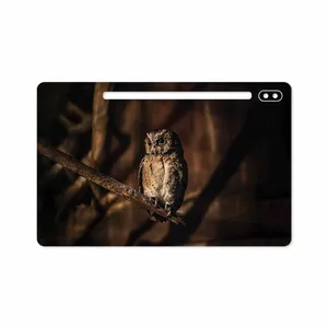 MAHOOT Owl Cover Sticker for Samsung Galaxy Tab S6 2019 SM-T860
