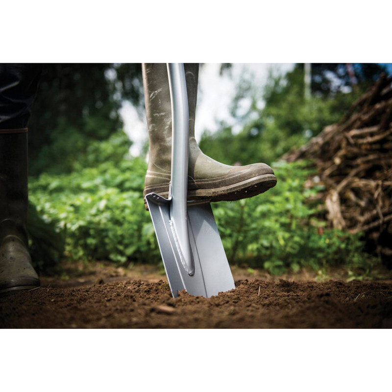 بیل فیسکارس مدل xact-1003684