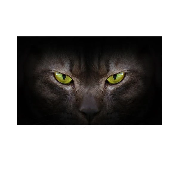   پادری مدل حیوانات کد HSHMA0039 سایز 76x46 سانتی متر