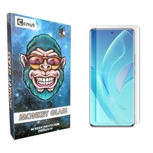 Coconut mnk UV Screen Protector For   60 pro